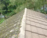 Roof Cleaning — thumbnail 2