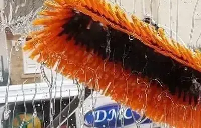 Professional cleaning services by DMC Facilities Management