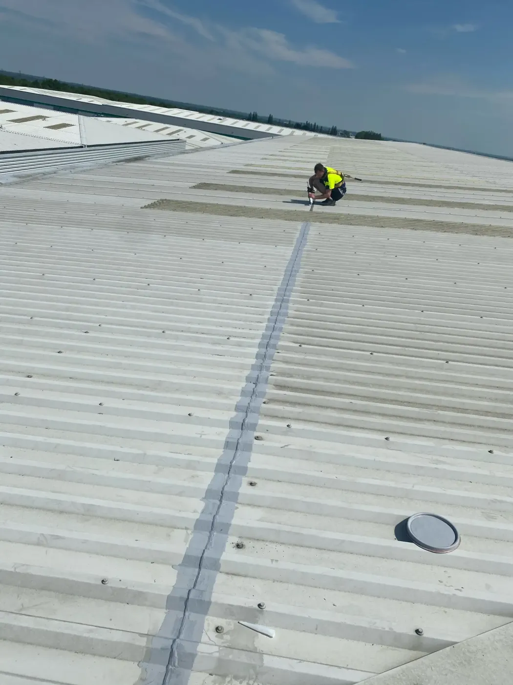 Commercial Cut Edge Restoration — recent work 1