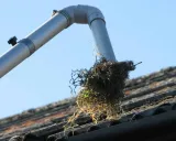 Gutter Cleaning — thumbnail 2