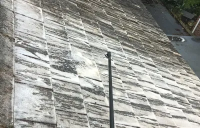 Soft Wash by DMC Facilities Management