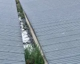Commercial Gutter Cleaning — thumbnail 4