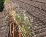 Gutter Cleaning — thumbnail 5