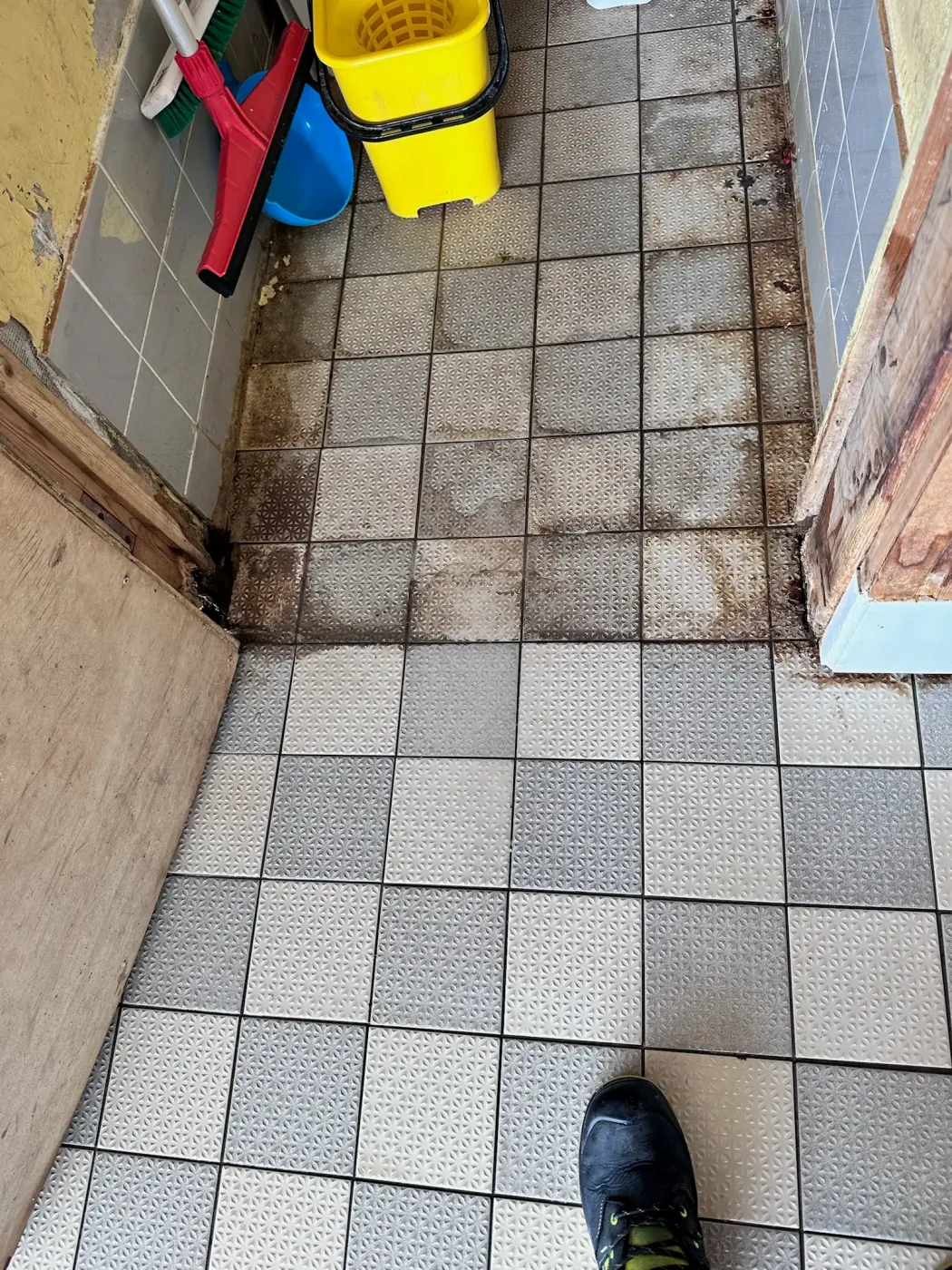 Commercial Hard Floor Cleaning — recent work 4