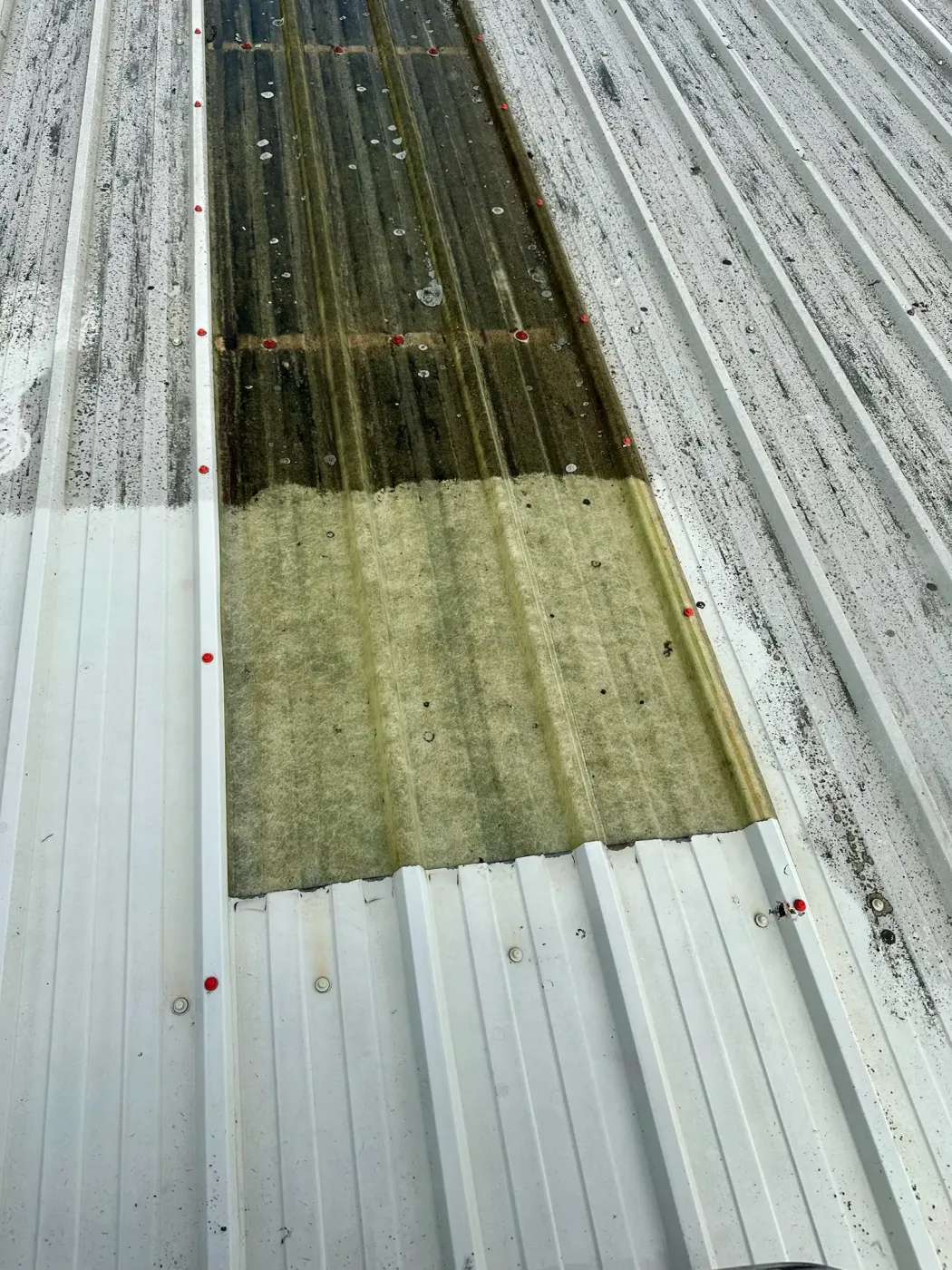 Commercial Roof Cleaning — recent work 4