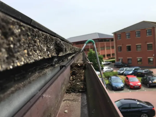 Commercial Gutter Cleaning