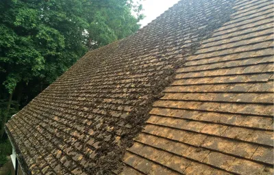 Roof Cleaning by DMC Facilities Management