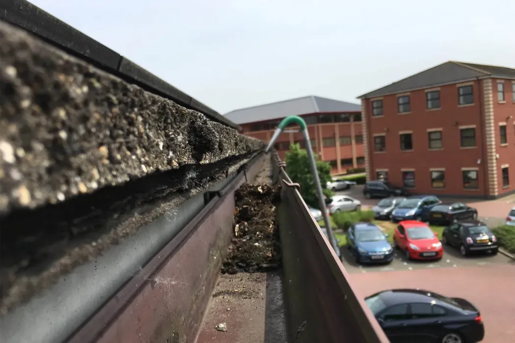Commercial Gutter Cleaning — recent work 1