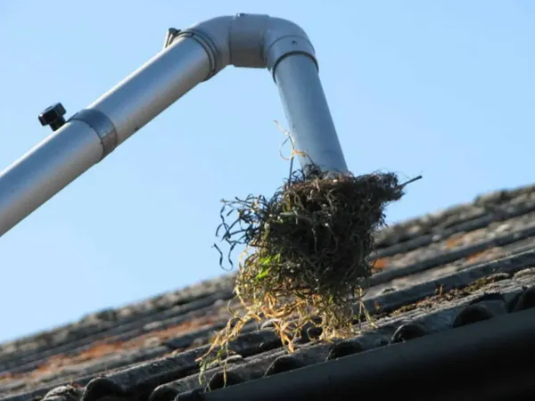 Gutter Cleaning